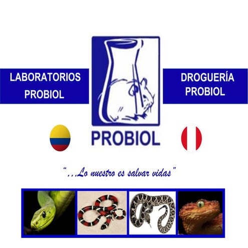 BROCHURE_PROBIOL-BIOPHIDasdasICS 2025.pdf