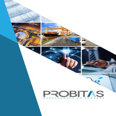 Brochure probitas ajustadores chile | PDF