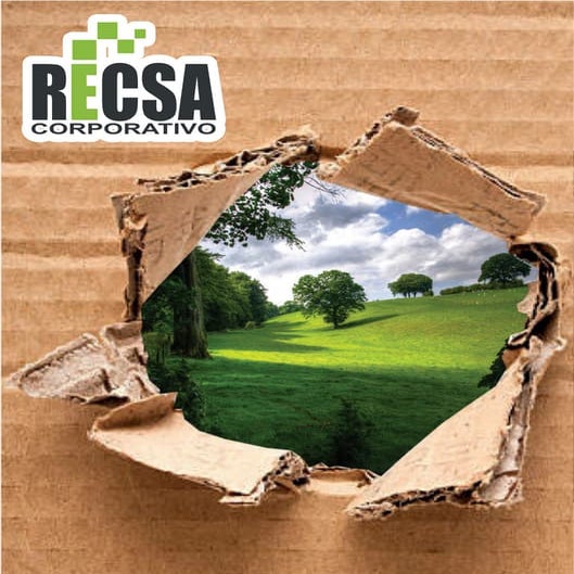 Recsa | PDF