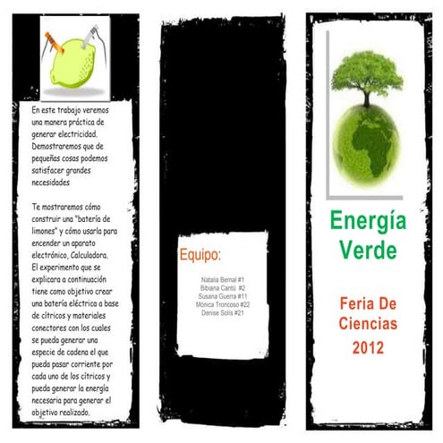 Brochure science fair #11 9 b | DOCX