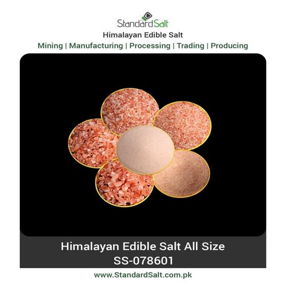Brochure standard salt-pdf | PDF