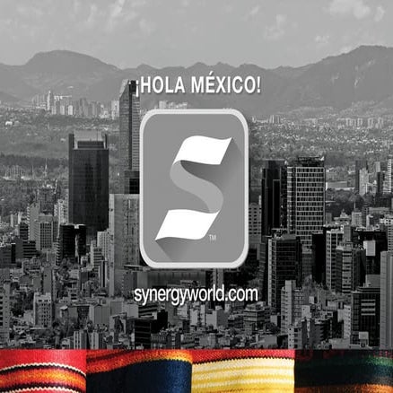 Synergy World - Programas de lealtad | PDF