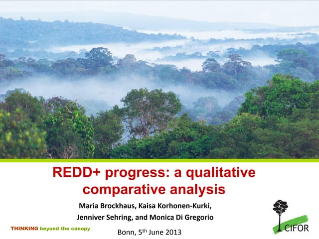 REDD+ progress: a qualitative comparative analysis