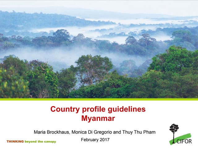 Country profile guidelines: Myanmar