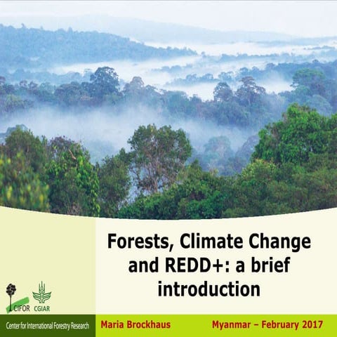 Forests, Climate Change and REDD+: A brief introduction