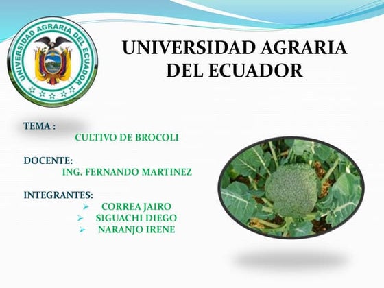 Universidad Agraria Del Ecuador Logo Universidad Agraria Del Ecuador