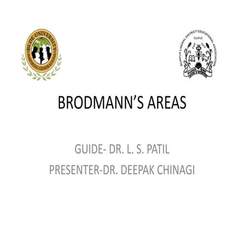 Brodmann’s areas 3, 1, 2