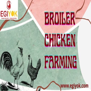  Broiler chicken farming