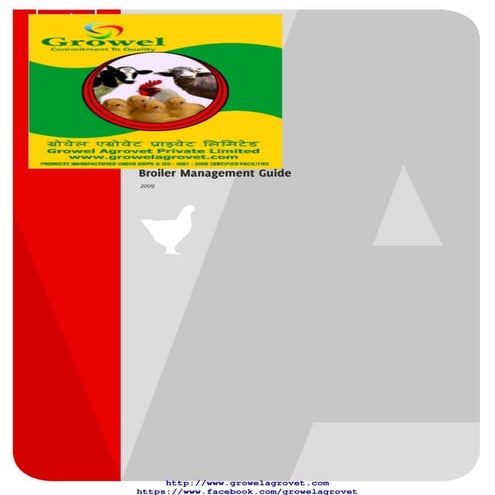 Broiler Farming Management Guide