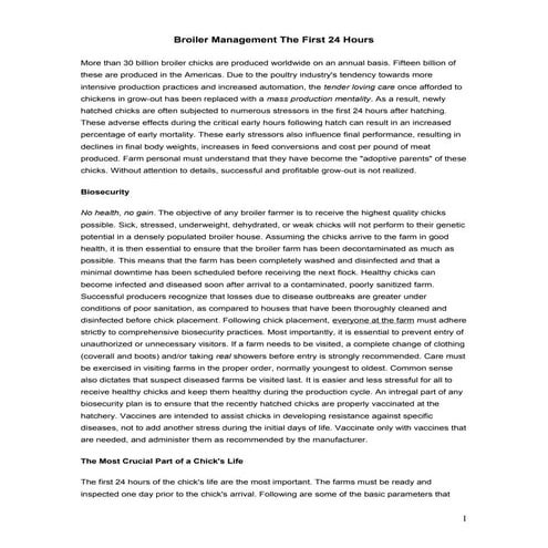 Broiler management in 1st 24 hrs