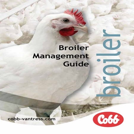 Broiler Poultry Farm Construction Guide | PDF