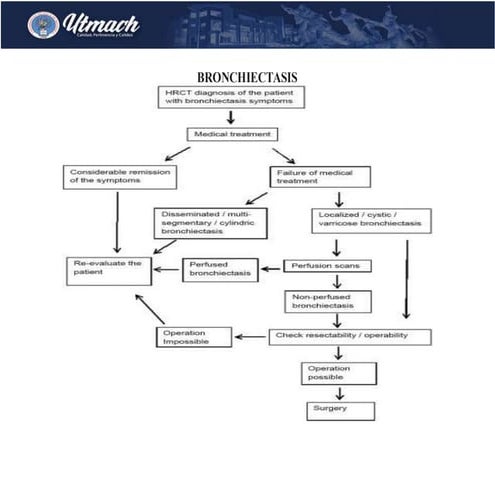 Bronchiectasis algorithm | DOCX