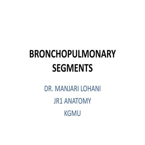 Bronchopulmonary segments