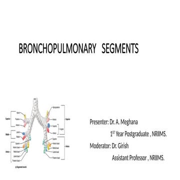 BRONCHO PULMONARY SEGMENTS of lung .pptx