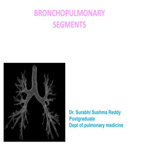 BRONCHOPULMONARY  SEGMENTS OF THE LUNG