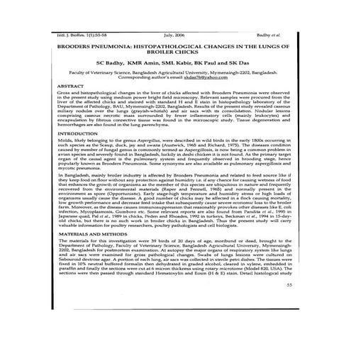 Brooders Pneumonia | PDF