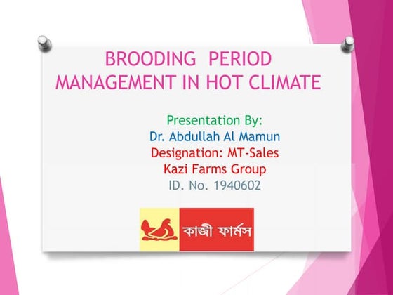 Brooding temperatures for | PPT