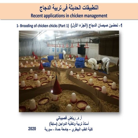 1- Brooding of chicken chicks (part 1) (تحضين صيصان الدجاج (الجزء الأول ...