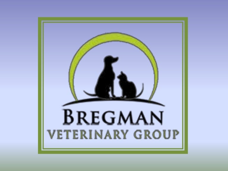 Brooklyn veterinary clinic