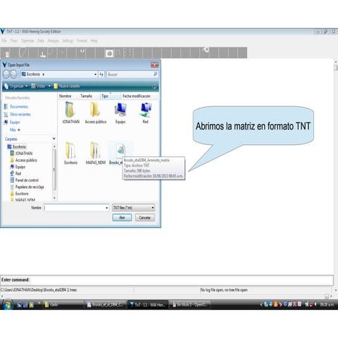 Tutorial para correr matriz de Brooks etal1994 en TnT
