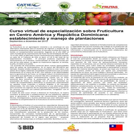 Broshure diplomado virtual