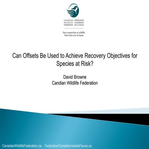 Can Offsets Be Used to Achieve Recovery Objectives for Species at Risk?