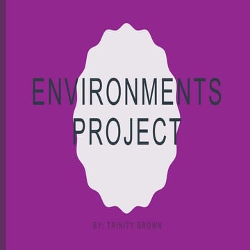 High scope the learning environment | PPTX