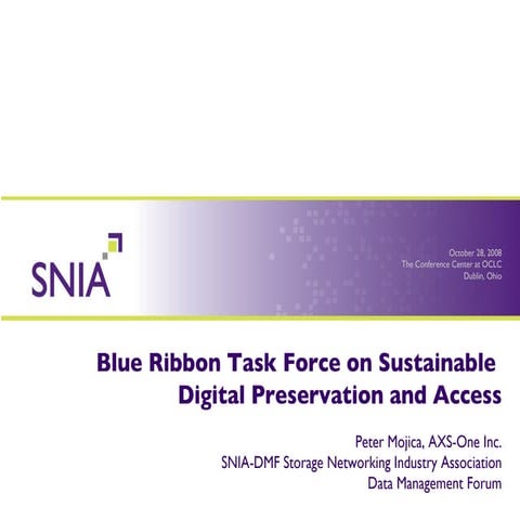 Blue Rubin Task Force Presentation - Digital Preservation