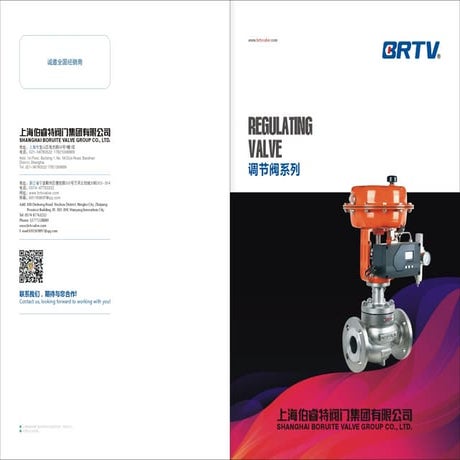 Custom Industrial Valve Solutions for Global Applications | PDF
