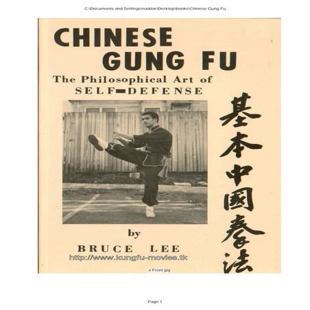 Bruce lee   chinese gung fu