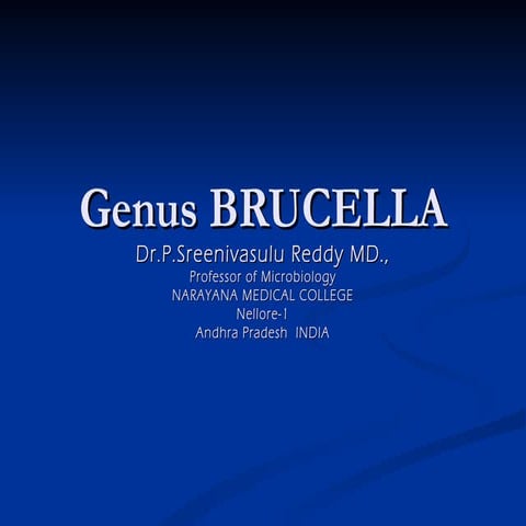 Brucella