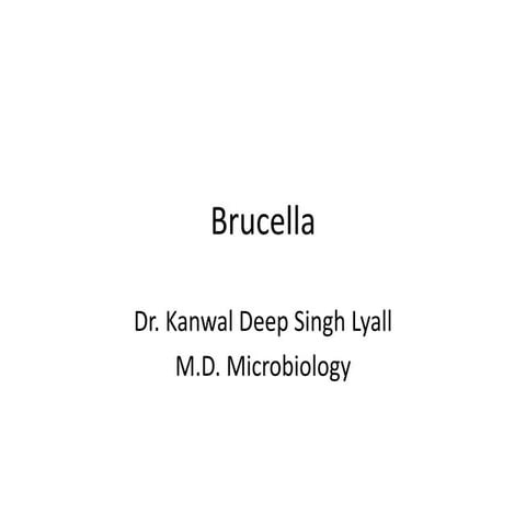 Brucella