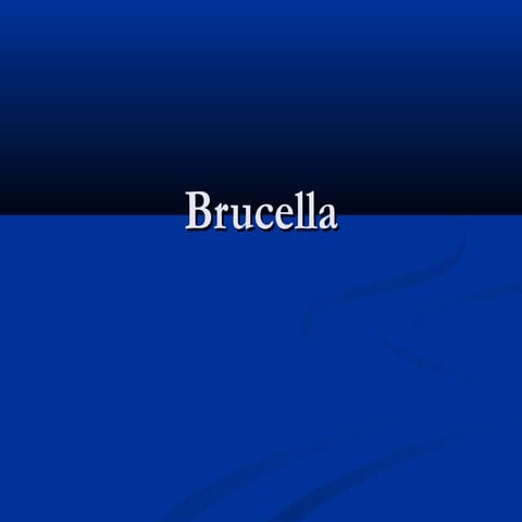 Brucella