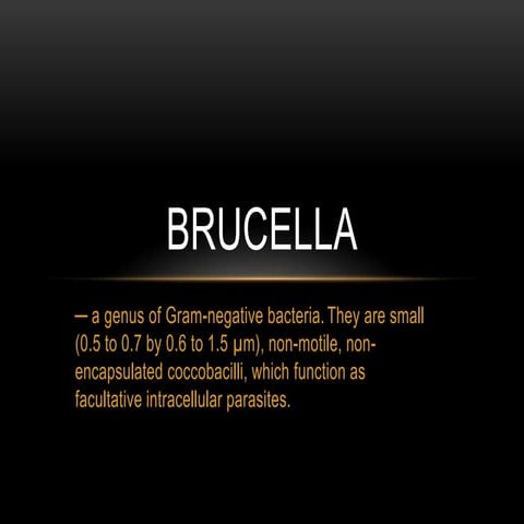 Brucella