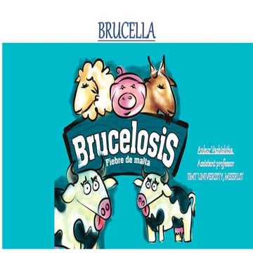 Brucella ankur vashishtha