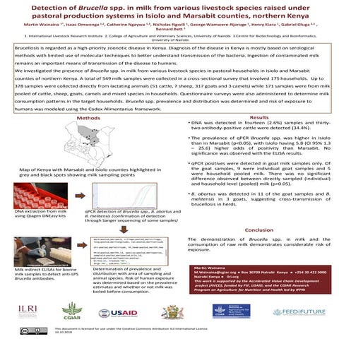 Detection of Brucella spp. in milk from various livestock species raised unde...