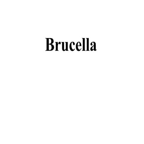 Brucellosis