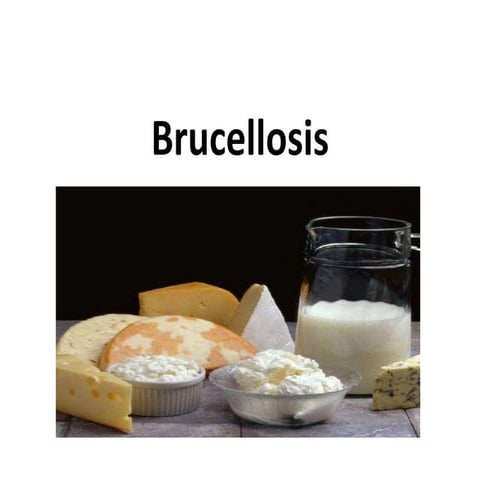 Brucellosis