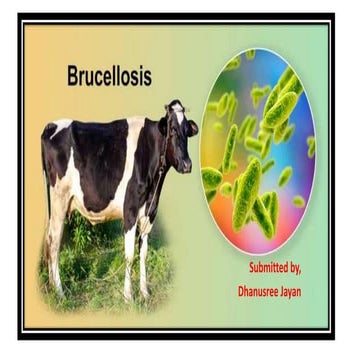 brucellosis.pptx