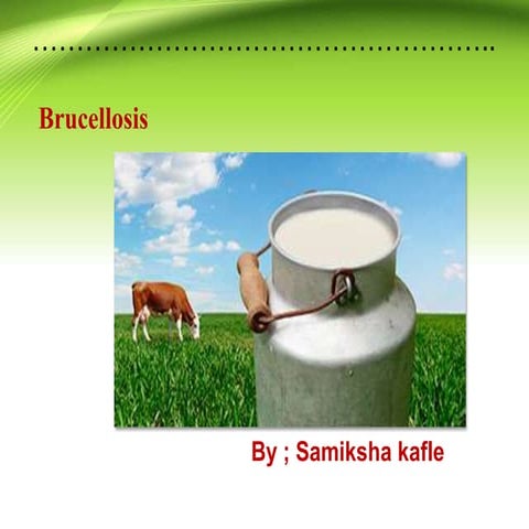 brucellosis.pptx