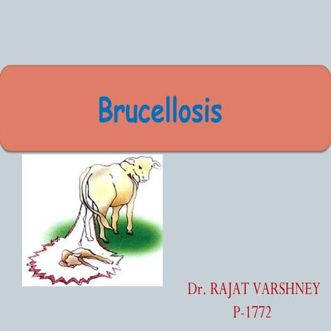 Brucellosis 