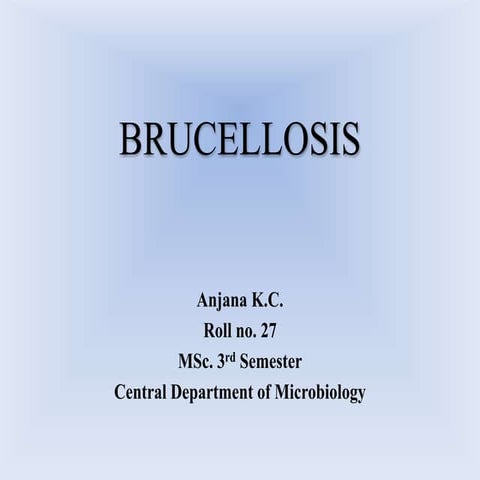 Brucellosis ppt