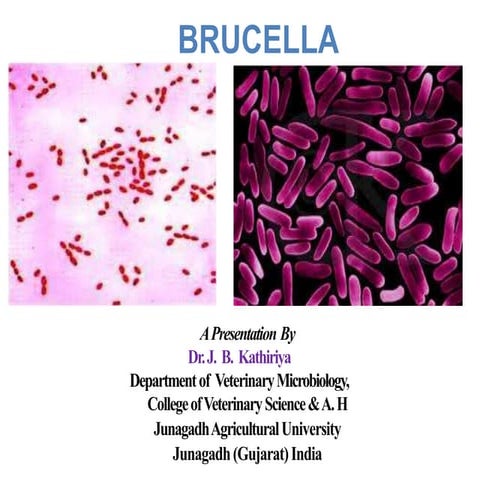 Brucellosis_Dr. J. B. Kathiriya-converted.pptx