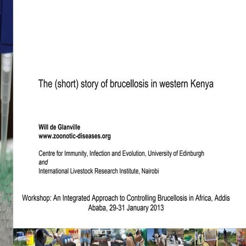 The (short) story of brucellosis in western Kenya