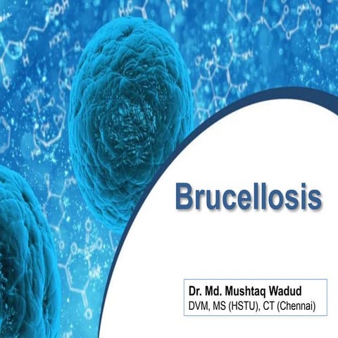 Brucellosis 