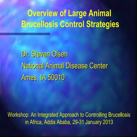 Overview of large animal brucellosis control strategies