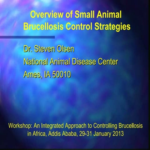 Overview of small animal brucellosis control strategies