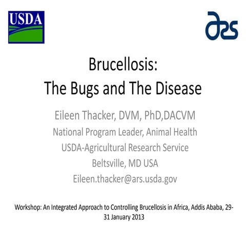 Brucellosis: The bugs and the disease
