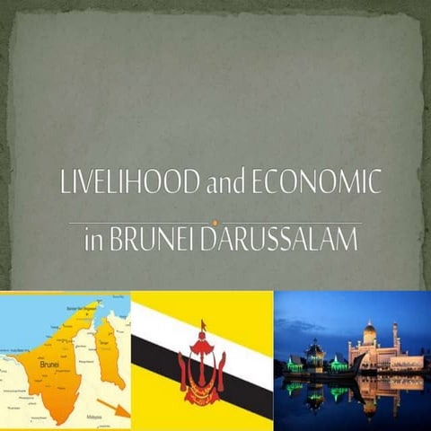 Brunei Darussalam Livelihood & Economics