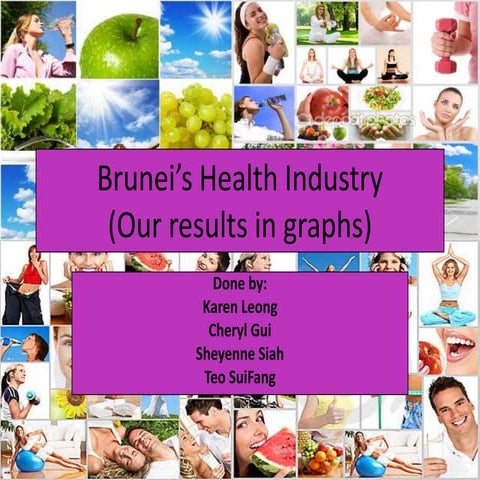 Brunei’s Health Industry | PPT